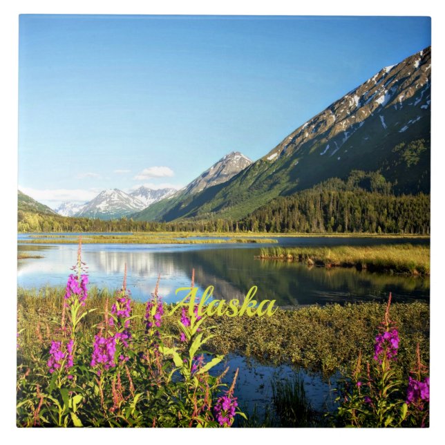 Scenia Alaska, märkt. Kakelplatta (Framsidan)