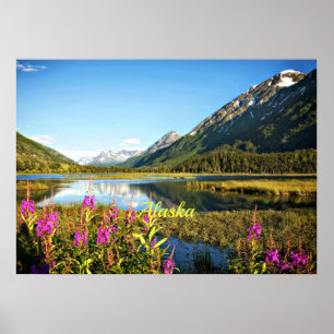 Scenia Alaska, märkt Poster