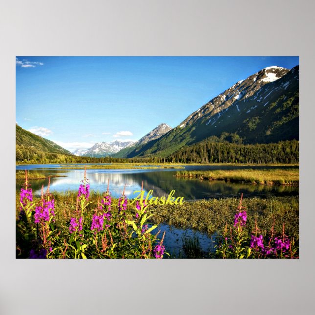 Scenia Alaska, märkt Poster (Framsidan)