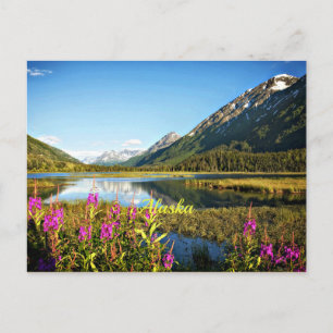 Scenia Alaska, märkt Vykort