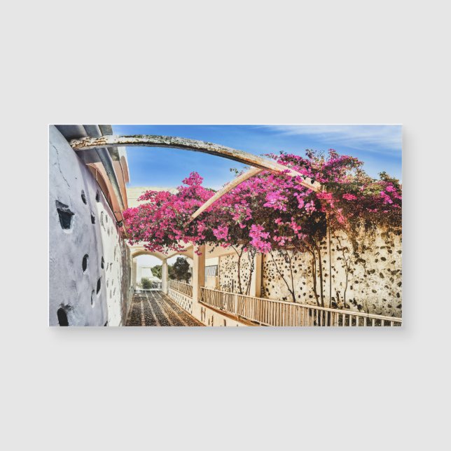 Scenia Alleyway i Santorini, Grekland (Framsida)