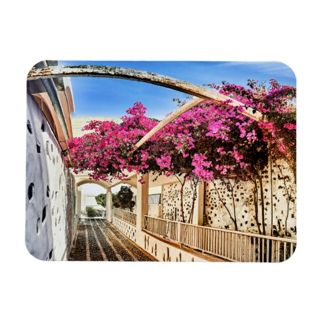 Scenia Alleyway i Santorini, Grekland Magnet (Horisontell)