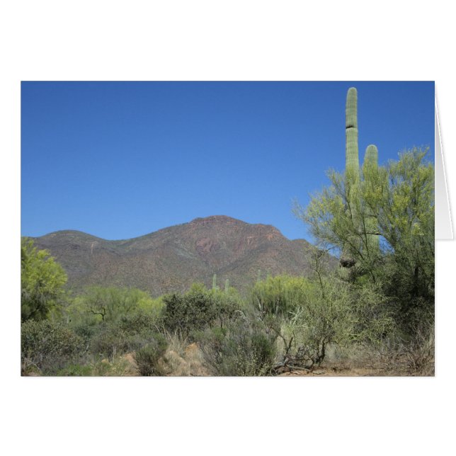 Scenia Apache Trail Hälsningskort (Framsidan Horizontal)