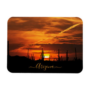 Scenia Arizona Saguaros vid Sunset Magnet