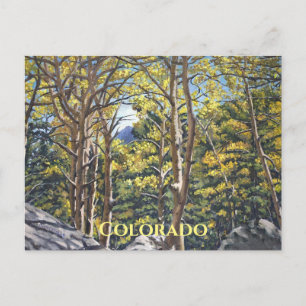 Scenia Aspen Träd i Estes nationalpark Postcard Vykort