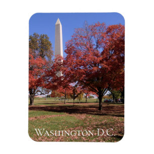 Scenia Autumn Washington D.C. Souvenir Magnet