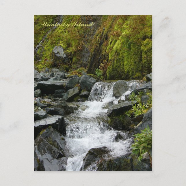 Scenia Bäck Falls, Unalaska Island Vykort (Framsida)