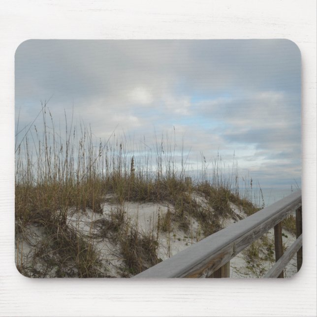 Scenia Beach Photography Boardpromenand & Sand Dun Musmatta (Framsidan)