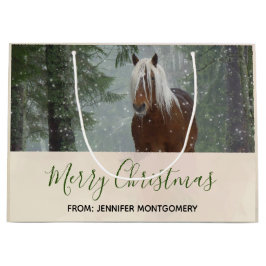 Scenia Brown Horse i en vinterjul