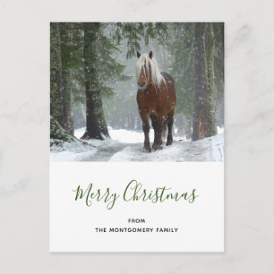 Scenia Brown Horse i en vinterjul Helg Vykort