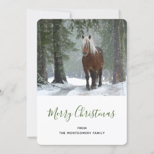 Scenia Brown Horse i en vinterjul Julkort