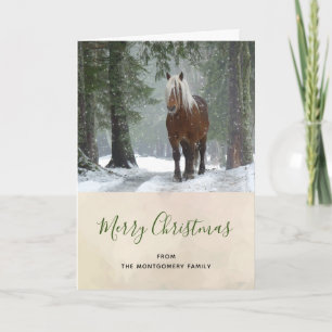 Scenia Brown Horse i en vinterjul Kort