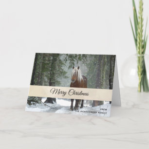 Scenia Brown Horse i en vinterjul Kort