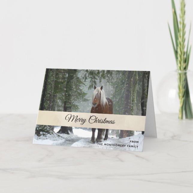 Scenia Brown Horse i en vinterjul Kort (Framsida)