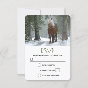 Scenia Brown Horse i en vinterjul OSA Kort