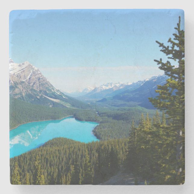 Scenia Canadian Blue Mountain Sjö Gräs Stenunderlägg (Framsidan)