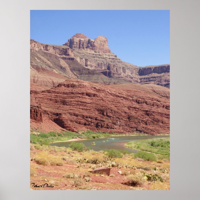 Scenia Colorado River vid Grand Canyon Photograph Poster (Framsidan)