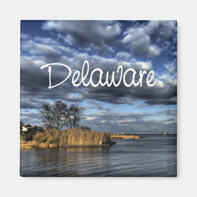 Scenia Delaware USA State Souvenir Fridge Magnet (Framsidan)