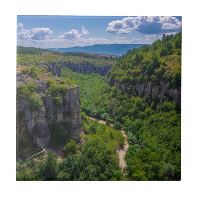 Scenia Gräs Träd Canyon Kakelplatta (Framsidan)