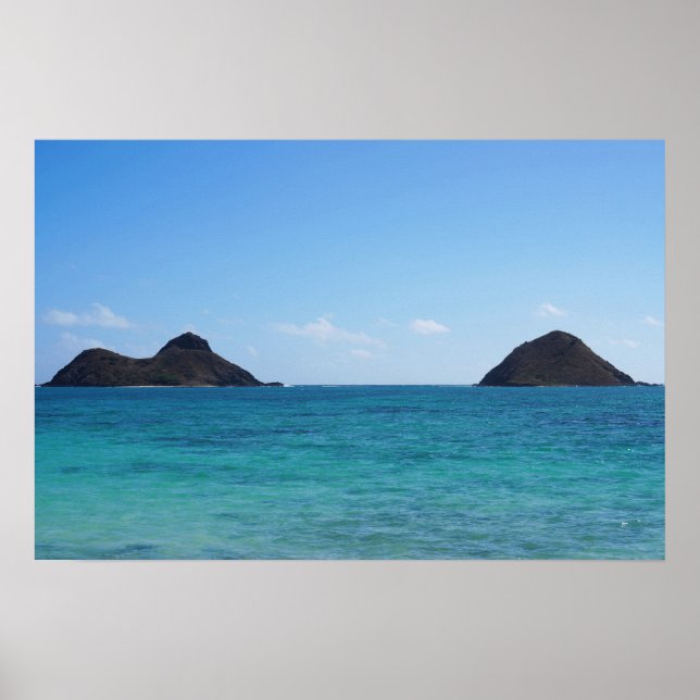 Scenia Hawaii Ocean View Poster (Framsidan)