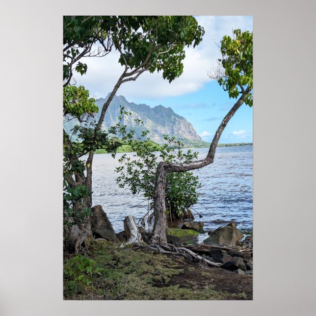Scenia Hawaiian Kusten View Poster (Framsidan)
