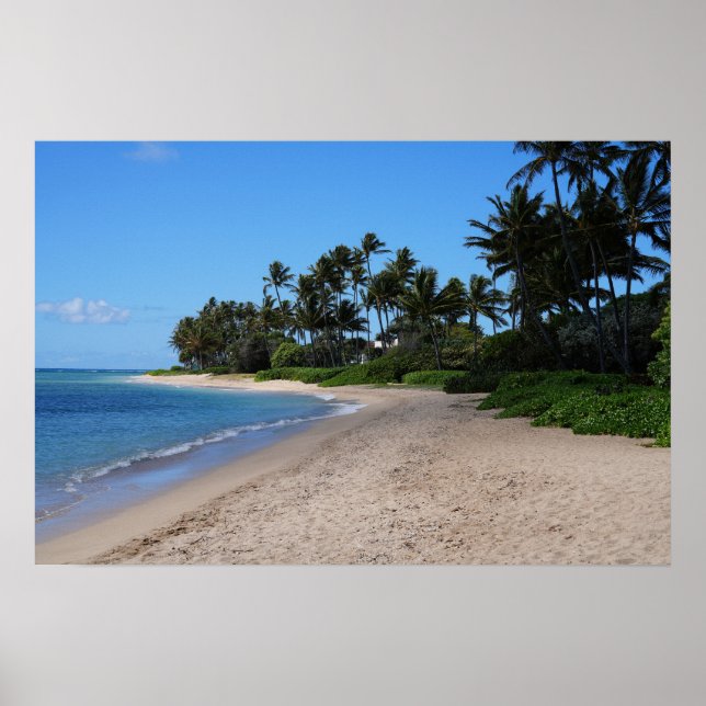 Scenia Hawaiian Kusten View Poster (Framsidan)