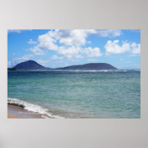 Scenia Hawaiian Kusten View Poster