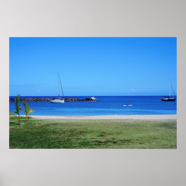 Scenia Hawaiian Kusten View Poster (Framsidan)