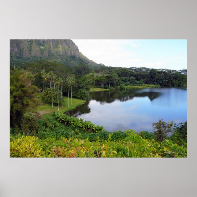Scenia Hawaiian View Poster (Framsidan)