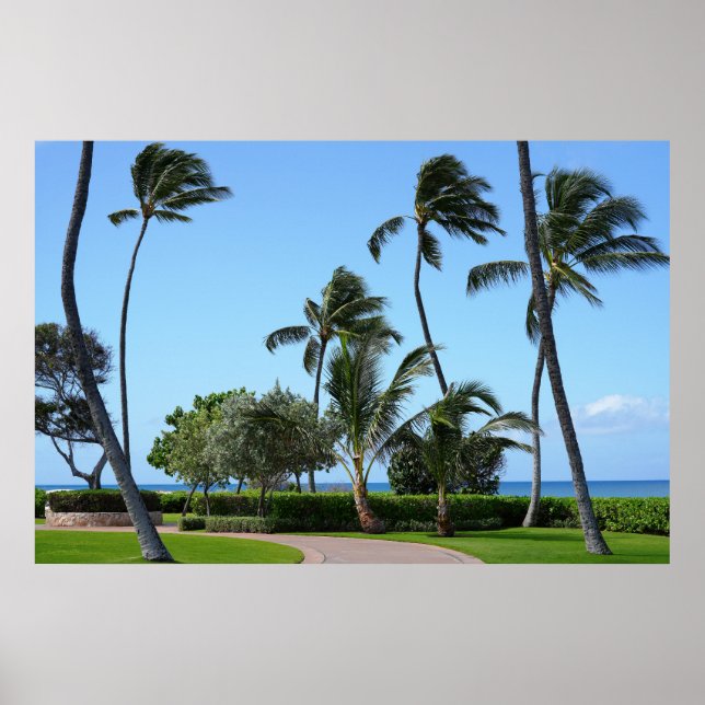 Scenia Hawaiian view Poster (Framsidan)