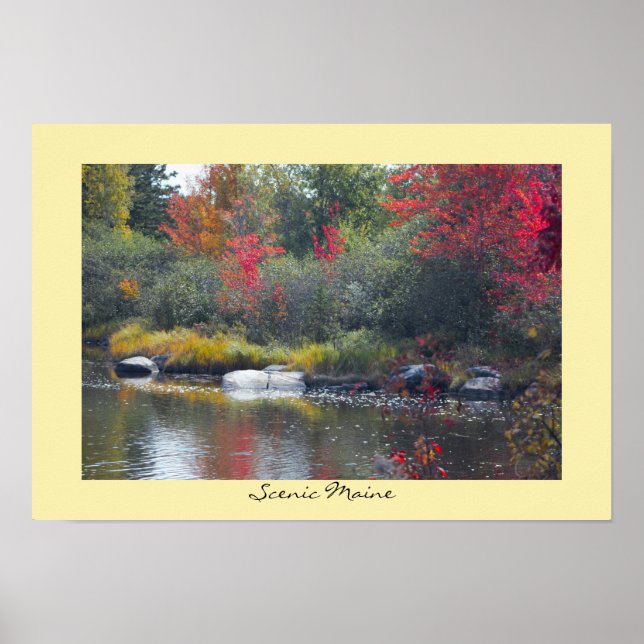 Scenia Maine Poster (Framsidan)