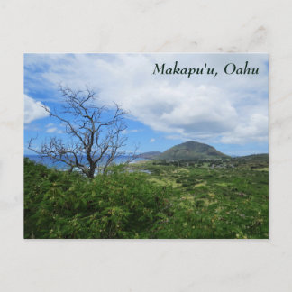 Scenia Makapui u Oahu Hawaii Mountains Ocean View Vykort