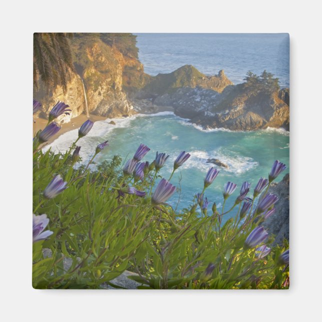 Scenia McWay Falls tumlare in på stranden och Magnet (Framsidan)