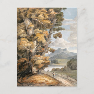 Scenia Road, Träd, Sjö och Mountain Vintage Art. Vykort