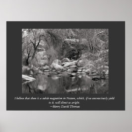 Scenia Sabino Canyon Winter Poster
