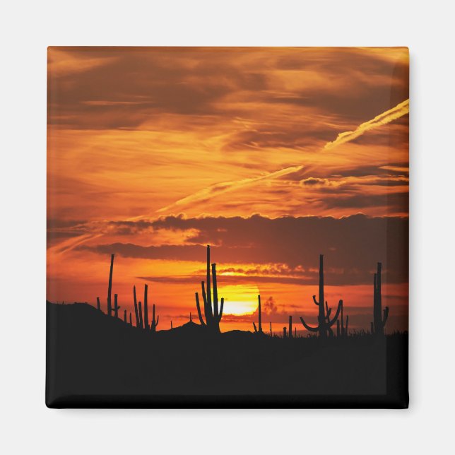 Scenia Saguaros vid Sunset Magnet (Framsidan)