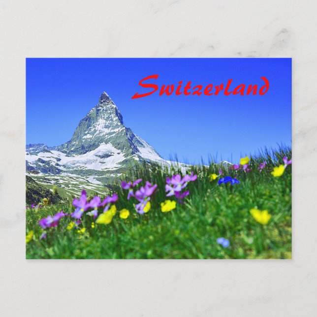 Scenia Schweiz Matterhorn Vykort (Framsida)