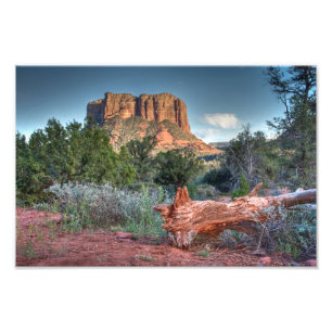 Scenia Sedona Fototryck