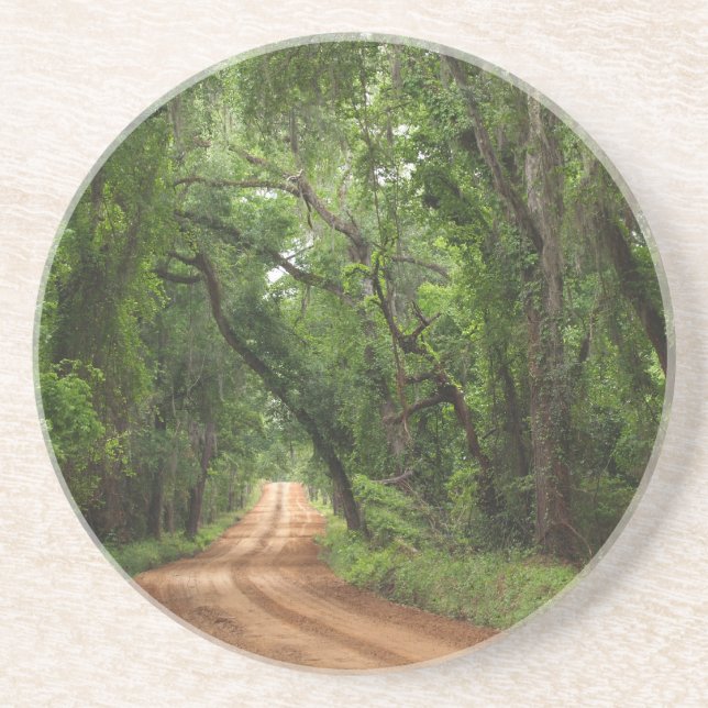 Scenia Series - Canopy Road Underlägg (Framsidan)