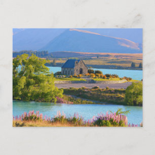 Scenia Sjö Tekapo Vykort