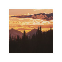 Scenia Sunset Mountains Jungle Gräs träd Fall Jig