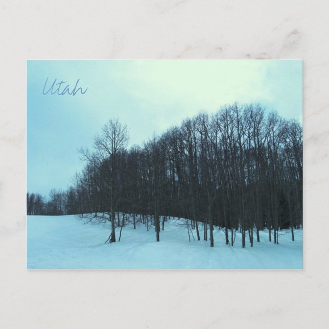 Scenia Utah Vykort (Framsida)