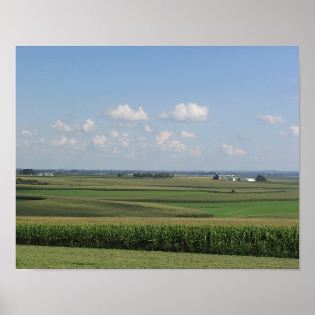 Scenia View of an Amish Farm in Wisconsin Poster (Framsidan)