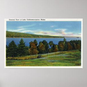Scenia View of Sjö Cobbosseeconte Poster