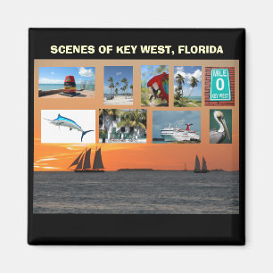 Scenia Views Nyckel Väster, Florida Magnet