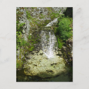 Scenia Waterfalls bakom General's Backe Vykort
