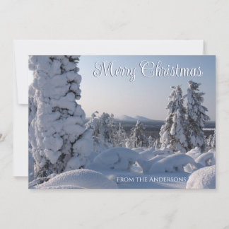 Scenia Winter Ligcape God jul Julkort