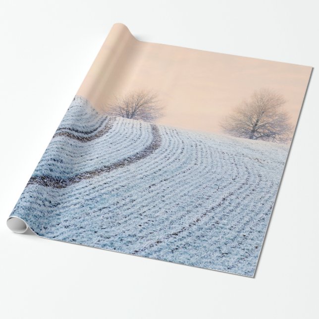 Scenia Winter Ligcape Träd med Hoarfrost Gift Presentpapper (Utrullad)