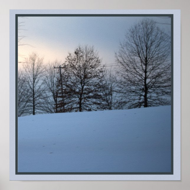 Scenia Winter Träd Poster (Framsidan)