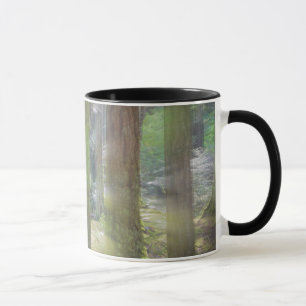 Scenic Beach State Park Mugg